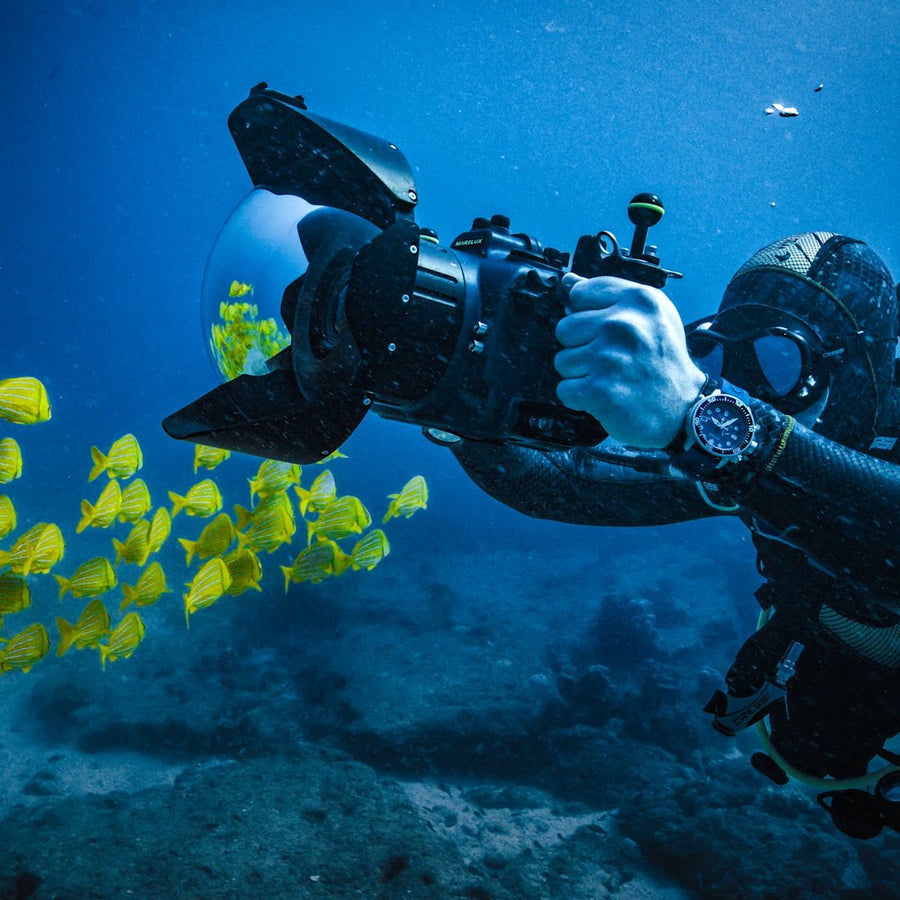 Divers