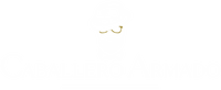 CaballeroArmado